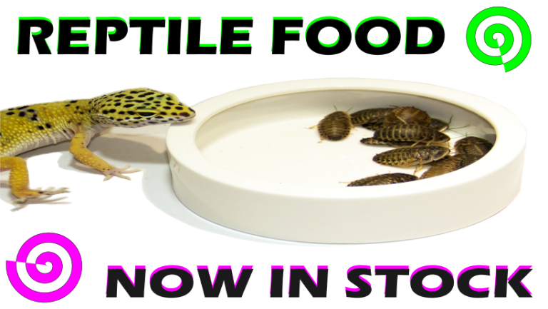 REPTILE FOOD NOW IN STOCK