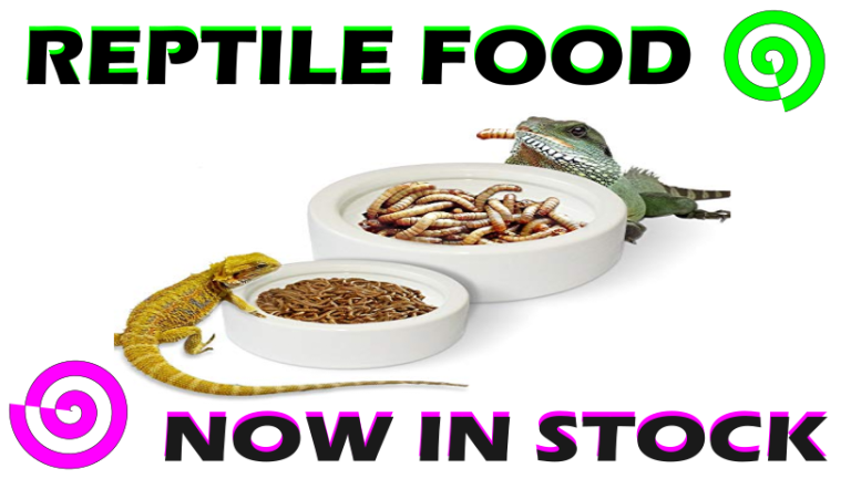 reptile food